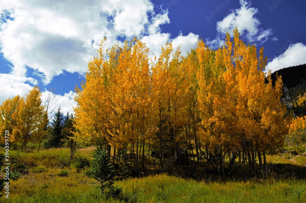 Guanella Pass road near Denver Colorado in autumn 