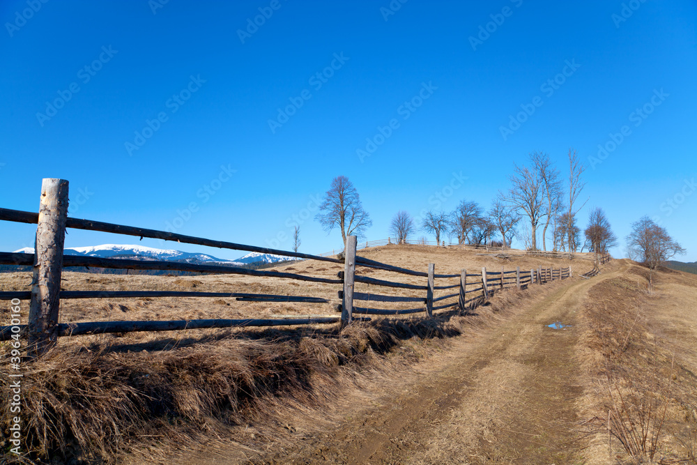 Spring mountain landscape, bare trees along a road with wooden fence. Snowcapped mountain peaks seen through the fence. Ukraine, Carpathians.