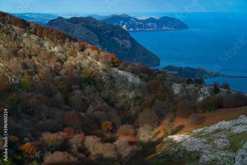 Beech forest in autumn at Cerredo Mountain, Cantabrian Sea, MONTAÑA ORIENTAL COSTERA MOC, Castro Urdiales, Cantabria, Spain, Europe