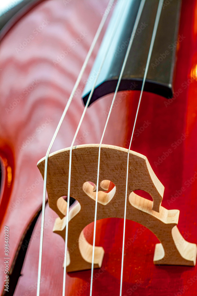 Close up of bridge, violin part .
Closeup of part string instrument cello with snares and bridge.
Close up of bridge, violin part .
Closeup of part string instrument cello with snares and bridge.