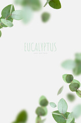 Flying fresh green branches of eucalyptus on light gray background. Flat lay, top view, mock up. Nature eucalyptus leaves background. Eucalyptus branches pattern. Floral frame, layout for design
