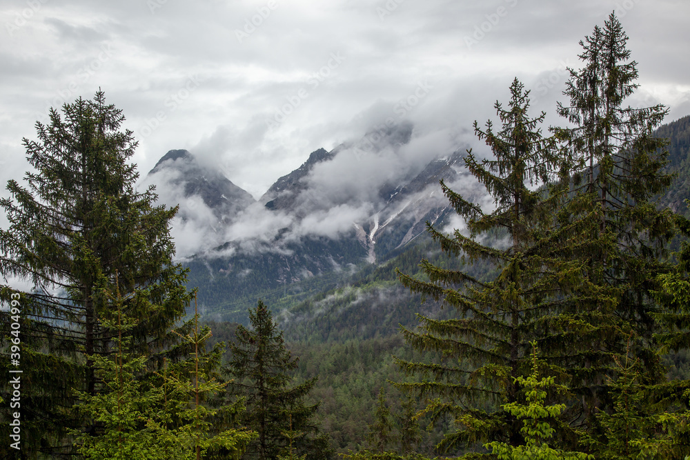 Coniferous forest against the background of mountains shrouded in thick clouds