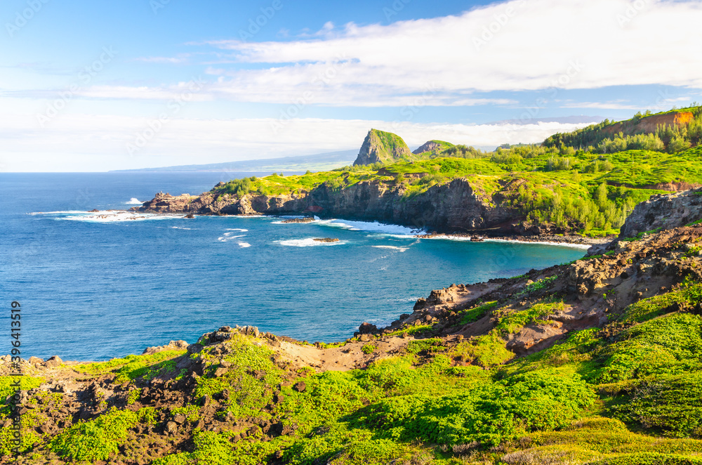Green lush coastline of Maui on a sunny day, island of Hawaii