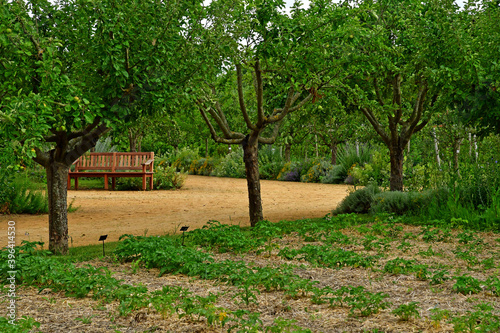 La Roche Guyon; France - june 20 2020 : the castle park photo