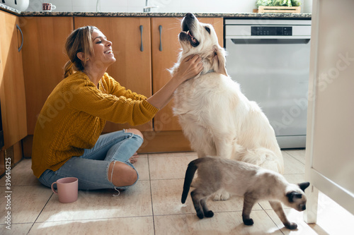 Photography Beautiful young woman stroking her cute lovely dog sitting on the floor in the kitchen at home