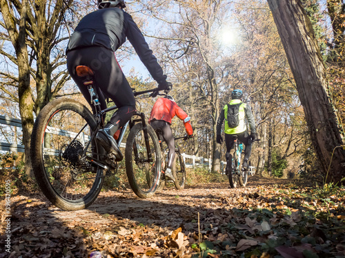 Cycling tour in a woodland