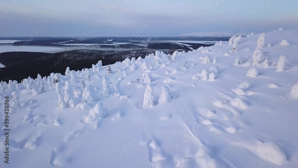 flying over a wild snow-covered slope over trees in snow caps, in wild mountains with a lake and hills on the horizon