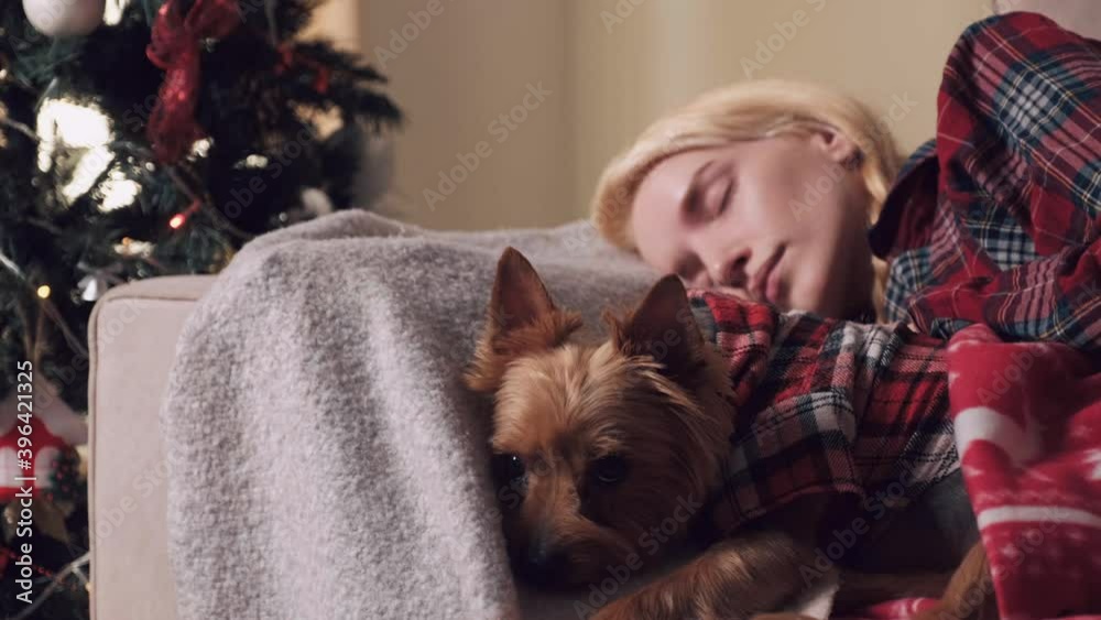 A beautiful young blonde woman is sleeping on the sofa with a cute little dog next to her. Waiting for Christmas. Large decorated Christmas tree with toys and garland. A beautiful young blonde woman is sleeping on the sofa with a cute little dog next to her. Waiting for Christmas. Large decorated Christmas tree with toys and garland.