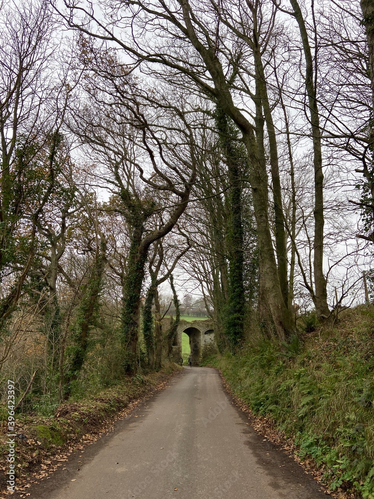 Obraz premium WINCHELSEA, EAST SUSSEX, UK - JULY 12th 2020 : The New Landgate entrance arch to Winchelsea in East Sussex, dating from 1300 part of old town wall