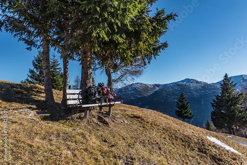 Ruhebank unter Bäumen am Berg photo