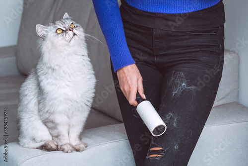 Woman cleaning clothes with clothes roller, lint roller or sticky roller from cats hair. Cats hair on clothes. Cleaning hair from pets photo