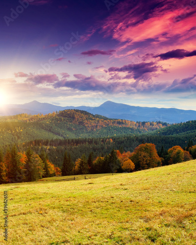 Majestic morning mountain landscape with colorful forest.
