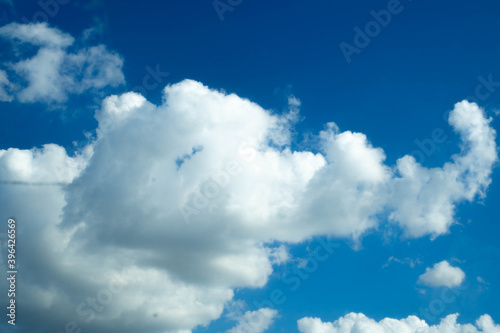 A large elephant shaped cloud 