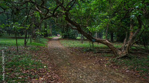 Wallpaper Mural cool road Torontodigital.ca