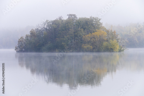 Image of tree island on the foggy lake at morning