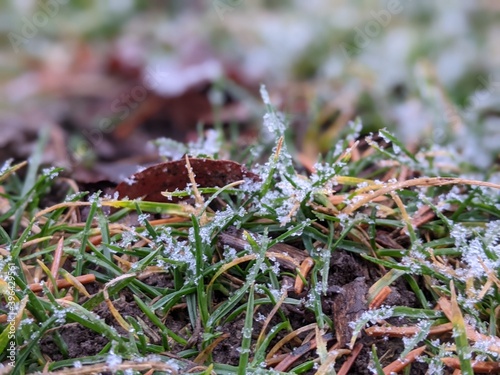 snow on the ground