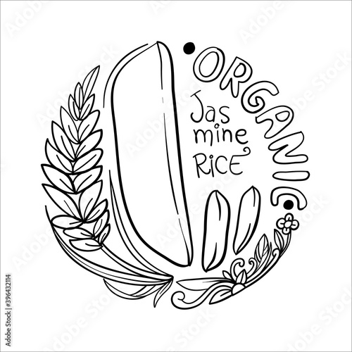 Drawing round logo of rice and paddy with grains and text of Jasmine rice