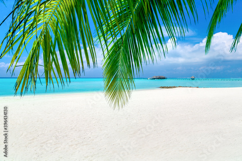 Tropical beach and palm leaves © Sergii Figurnyi