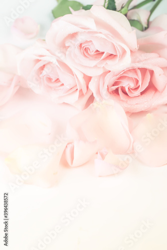 Soft cream rose background in retro style with soft blurred focus