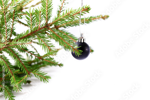 Spruce branch with a black Christmas ball on a white background. Creative minimalistic Christmas concert