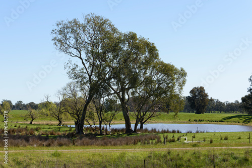 The Town of Dookie, Victoria, Australia in Spring photo
