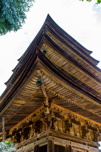 The five-storied pagoda of Rurikoji, which is scenic with the autumn leaves photo