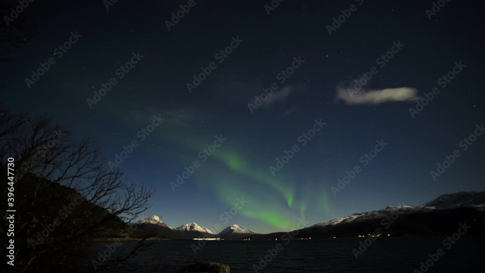 Timelapse Scenic Shot of Northern Lights in Wide Skies and Forest Scenery Timelapse Scenic Shot of Northern Lights in Wide Skies and Forest Scenery