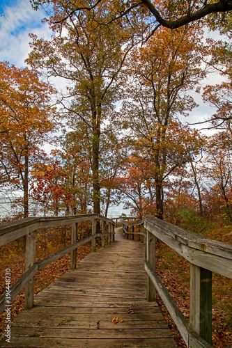 Pathway to the Lake