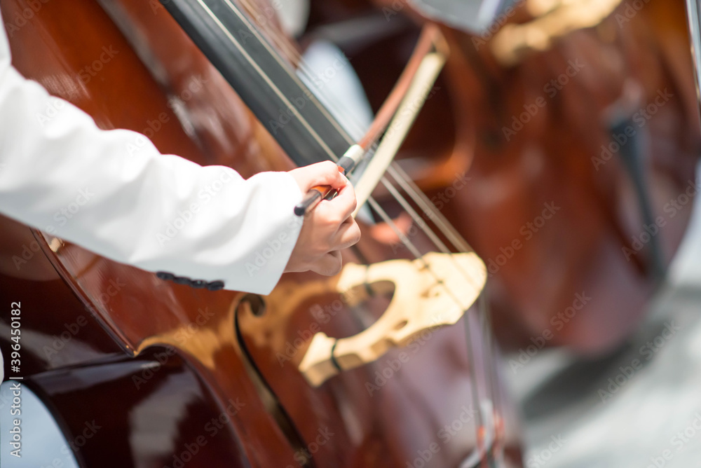 Double bass player in orchestra performance - obrazy, fototapety, plakaty 