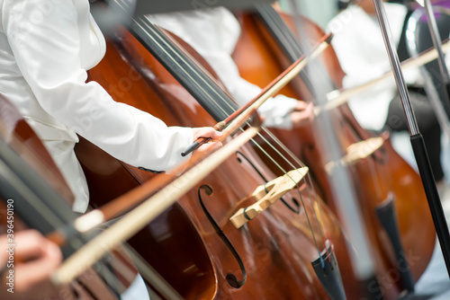 Double bass player in orchestra performance