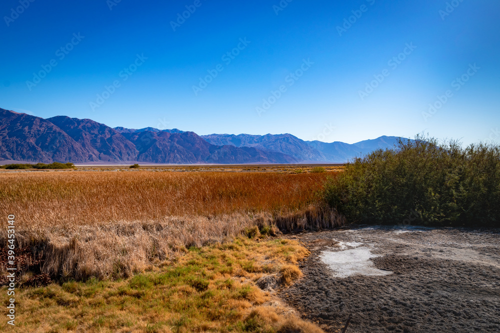 USA, CA, 30 of November 2020, Death Valley, Scenic view. Lifeless desert with it`s own Flora. USA, CA, 30 of November 2020, Death Valley, Scenic view. Lifeless desert with it`s own Flora.