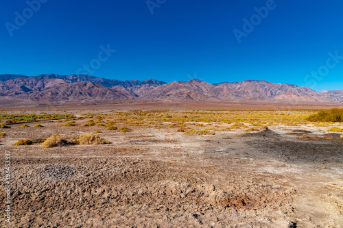 USA, CA, 30 of November 2020, Death Valley, Scenic view. Lifeless desert with it`s own Flora. 