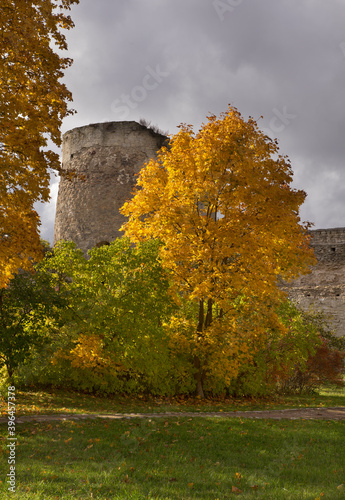 Vyshka (Tall) tower of fortress of Izborsk. Russia photo