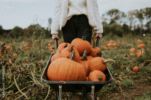 Fotografia Woman at a pumpkin patch before Halloween