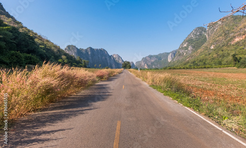 A rural road with grass flowers and mountains along the way to beautiful nature.