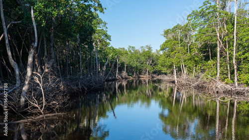 Everglades 