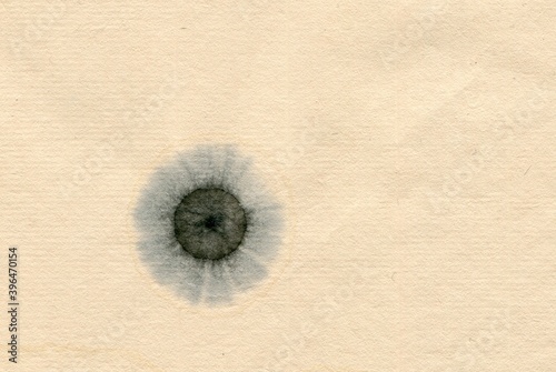 Chinese rice paper