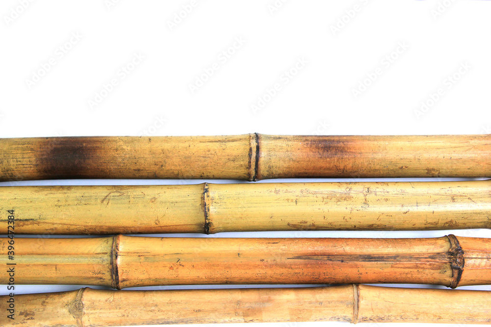 Fototapeta premium Yellow bamboo on white isolated background