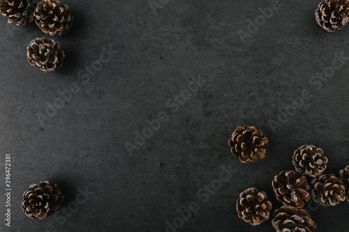 Group of pine cones spread on dark slate texture photo