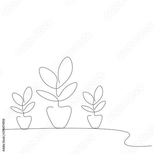 Plants in pot on table. Vector illustration