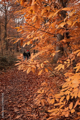 Couple hiking in autumn landscape