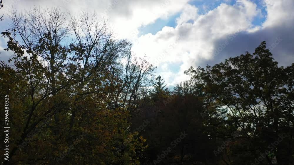 Beautiful Descending Crane Shot of Autumn Trees in the Woods Beautiful Descending Crane Shot of Autumn Trees in the Woods