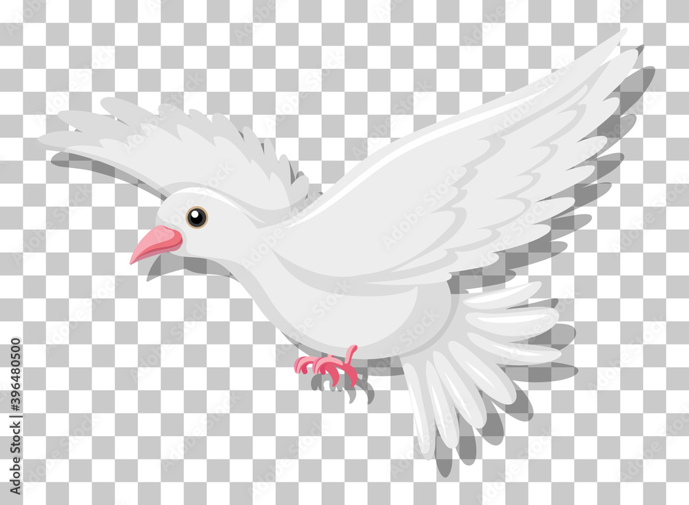 White pigeon flying isolated on transparent background White pigeon flying isolated on transparent background