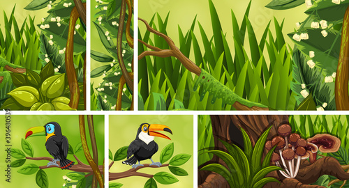 Fototapeta Naklejka Na Ścianę i Meble -  Set of jungle scene