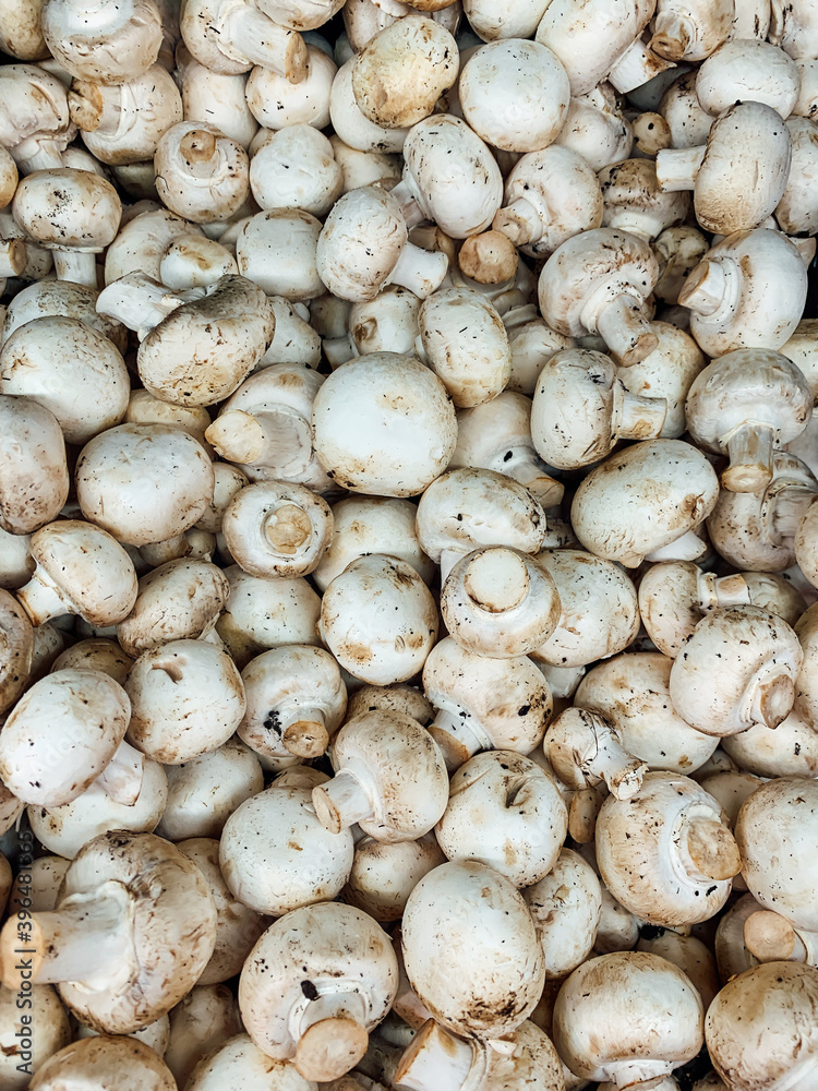 lots of raw mushrooms mushrooms mushrooms for cooking as a background lots of raw mushrooms mushrooms mushrooms for cooking as a background