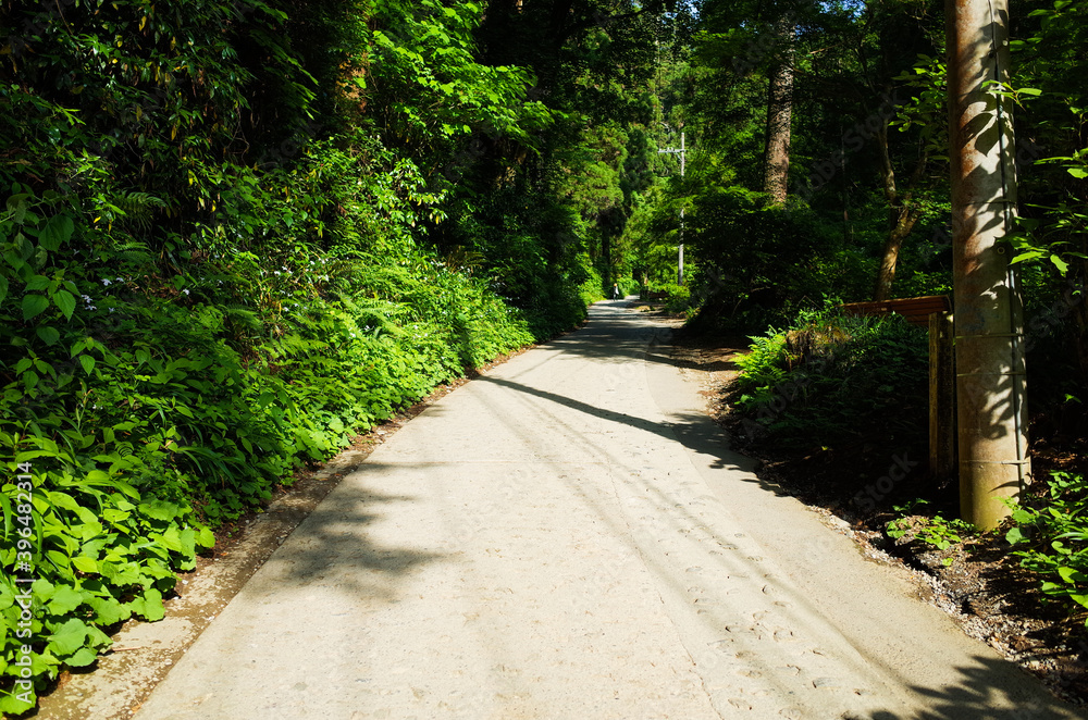 Obraz premium japan mountain