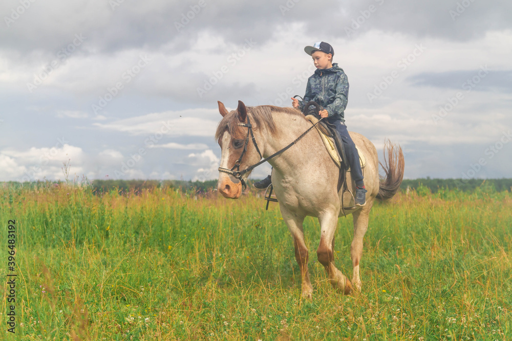 A teenage boy learns to ride a horse without stirrups. A teenager is sitting in the saddle on a horse for the first time. Learning to ride in the summer or autumn on the meadow.