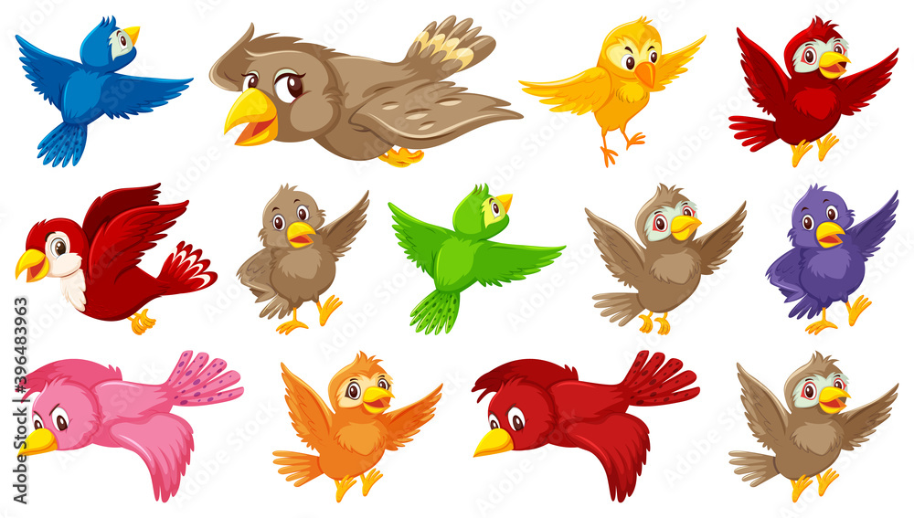 Obraz premium Set of bird cartoon character