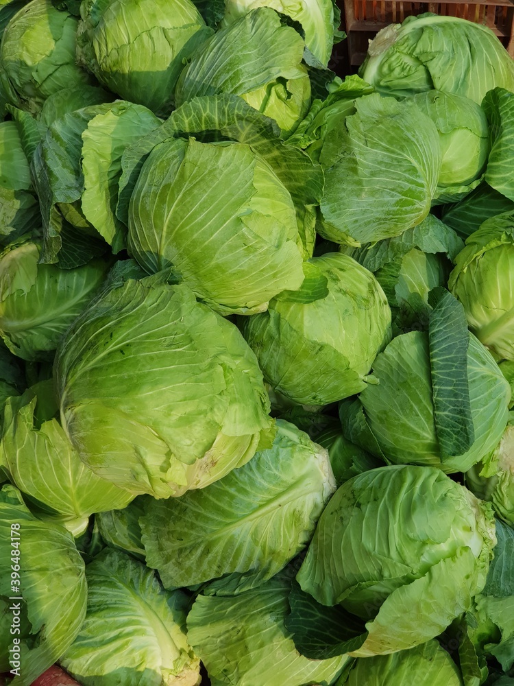 cabbage in the market cabbage in the market