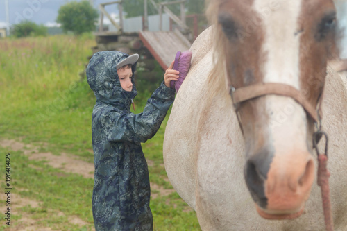 The boy takes care of the animal horse, cleans the skin with a plastic brush. Horse and child in the field.
